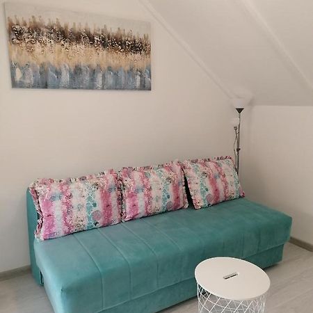 Apartman Andrijana 1 Sokobanja Eksteriør billede