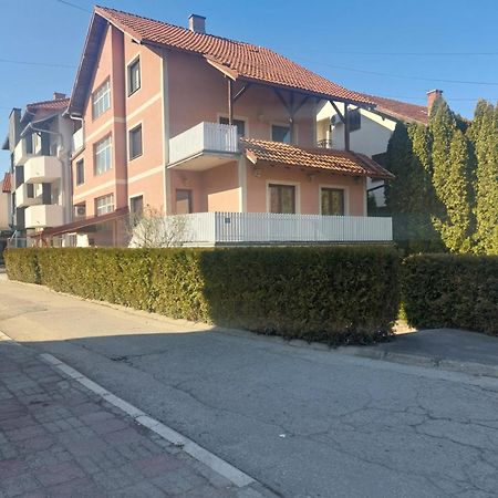 Apartman Andrijana 1 Sokobanja Eksteriør billede